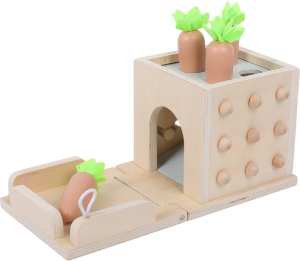 2Kids Toys multifunctional wooden shape sorter 8-in-1