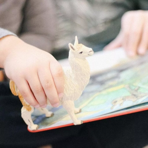 Ideal for play, learning, and collecting