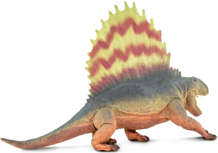 Safe and non-toxic toy