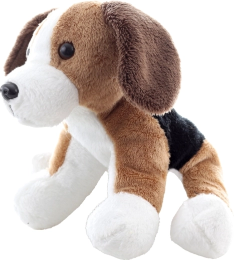 Prisrčni detajli bigla