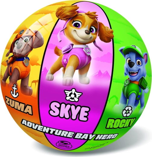 Gladká in pralna površina