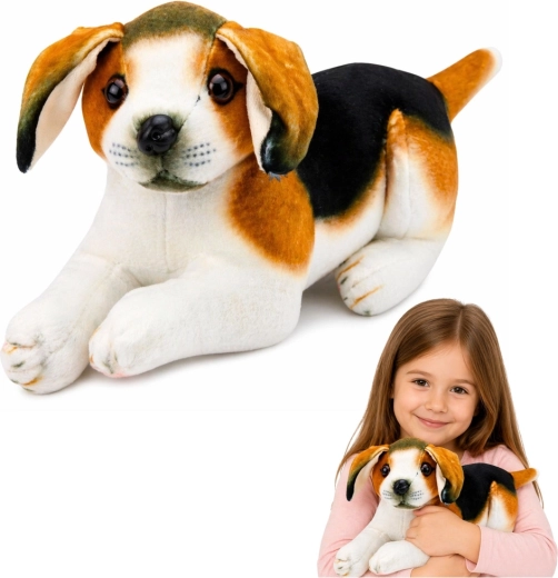 Plush Beagle Dog 25 cm