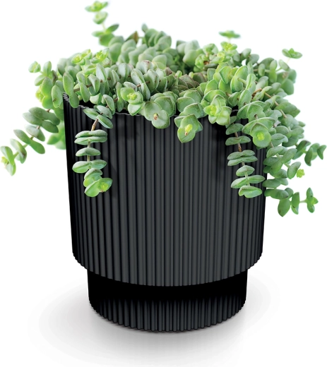 Idealno za zelišča in sukulente