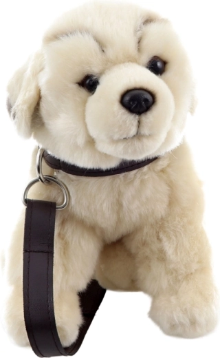 Igra sprehajanja z ovratnico in povodcem