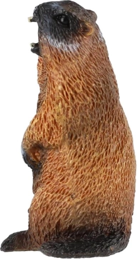 Kompaktna velikost