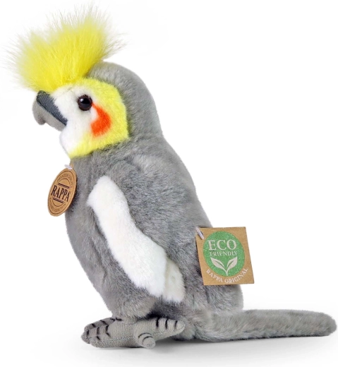 Varna igrača od rojstva