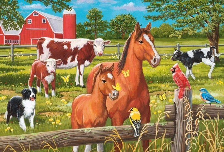 Žive barve in podrobne ilustracije