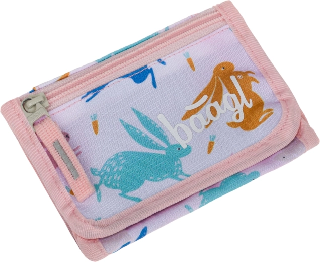 Praktična organizacija kovancev, kartic in bankovcev