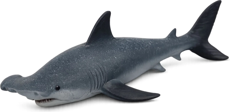 Realistic details of the hammerhead shark