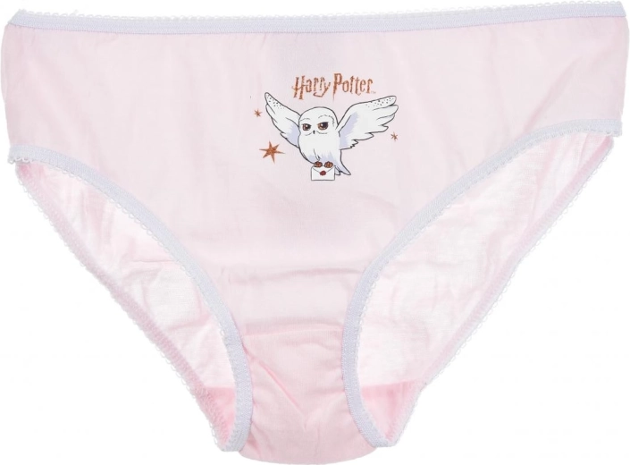 Licenciran motiv Harry Potter