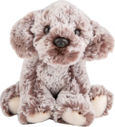 Plush Cockerpoo Dog