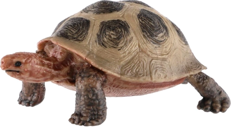 Realističen videz želve