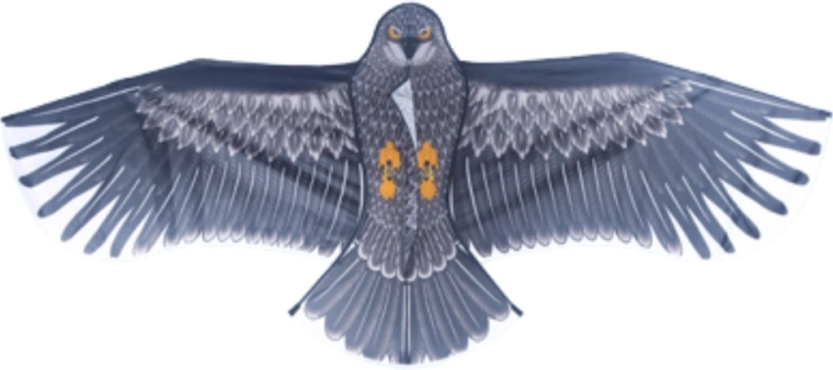 Realističen dizajn orla