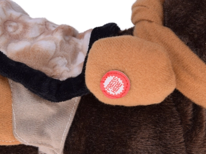 Hodi, rezgeta in pleše na country