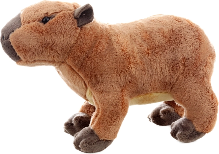 Varno že od rojstva