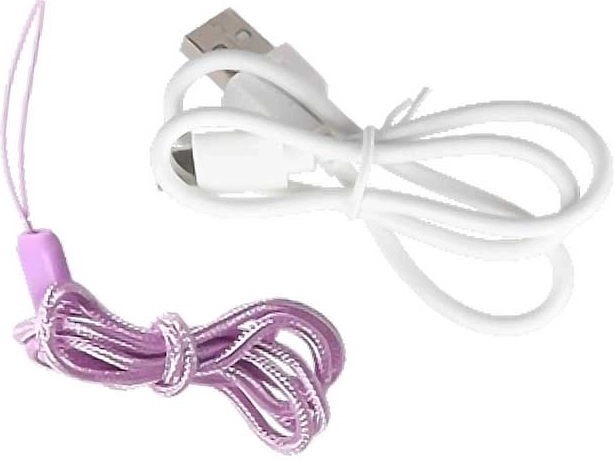 V paketu USB‑C kabel in vrvica za okoli vratu