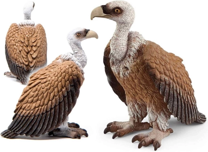 Figura jastreba