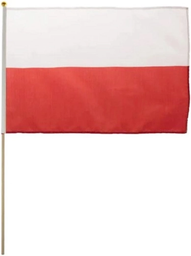 Majhna državna zastava