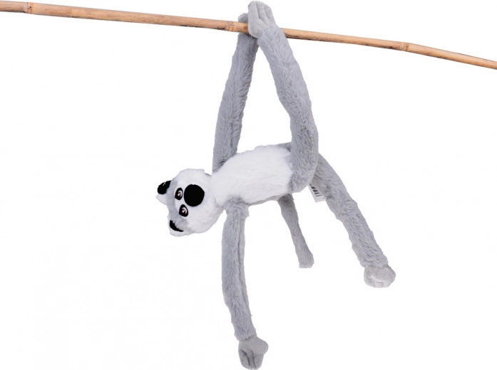 Lemur, ki “pleza” in visi kot v naravi