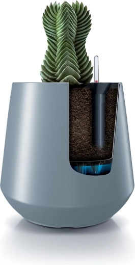 Brezskrbna nega rastlin