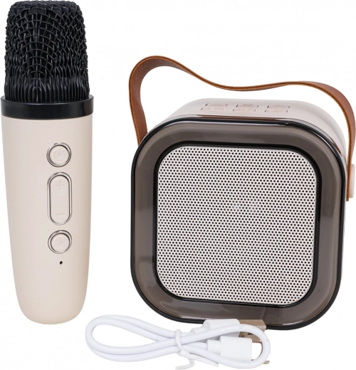 Karaoke set z brezžičnim mikrofonom in prenosnim Bluetooth zvočnikom z RGB