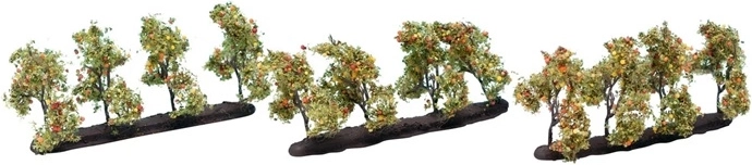 Noch jablana s plodovi 3,5 cm (12 kosov)