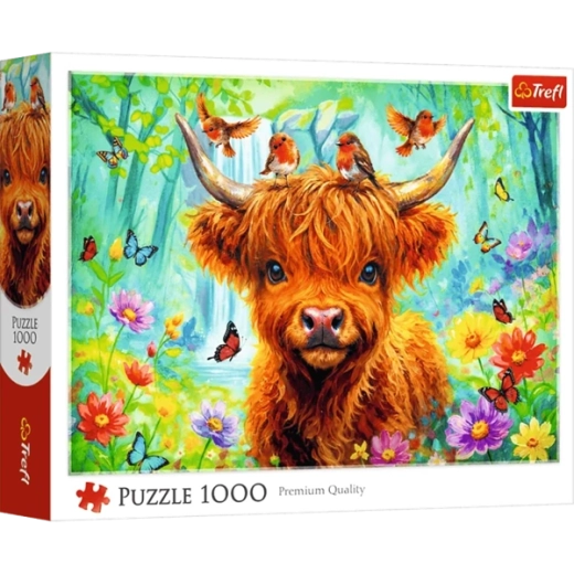Končna slika 683 × 480 mm