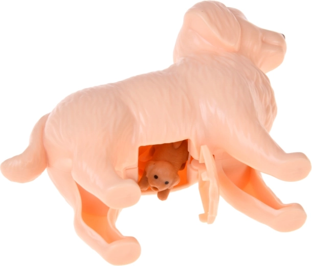Opening belly for puppies