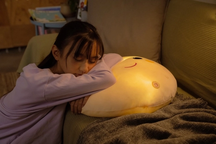 A plush pillow kids will love