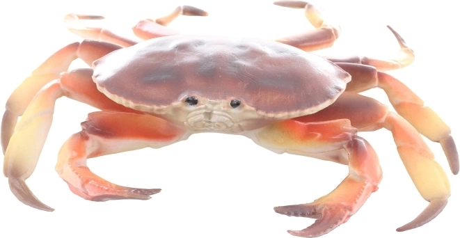 Kompaktne mere in enostavno shranjevanje