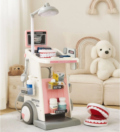 Model čeljusti in bogat pribor