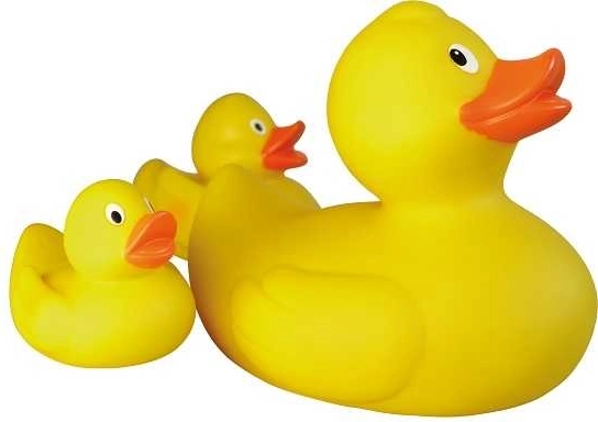 Vesela Lena Račka Družina