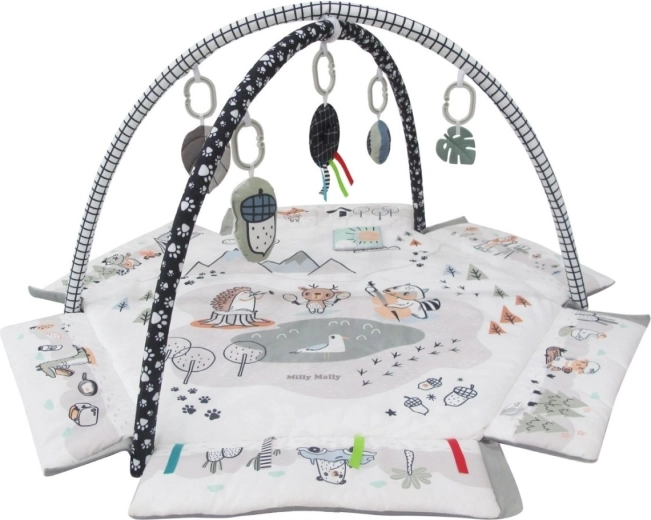 Senzorična stimulacija in motorika