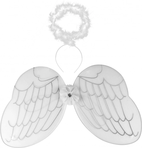 Angel Wings with Halo