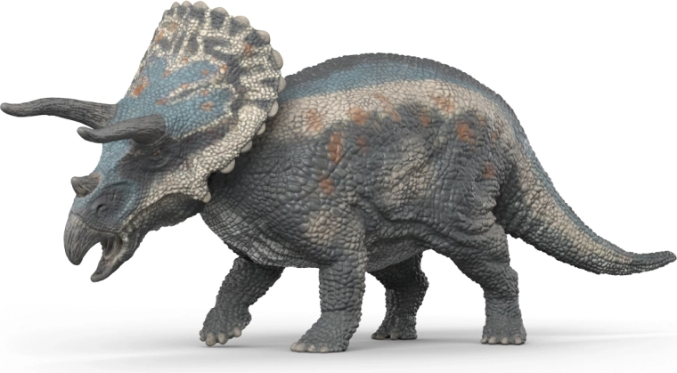 Odlične podrobnosti za učenje in razstavljanje