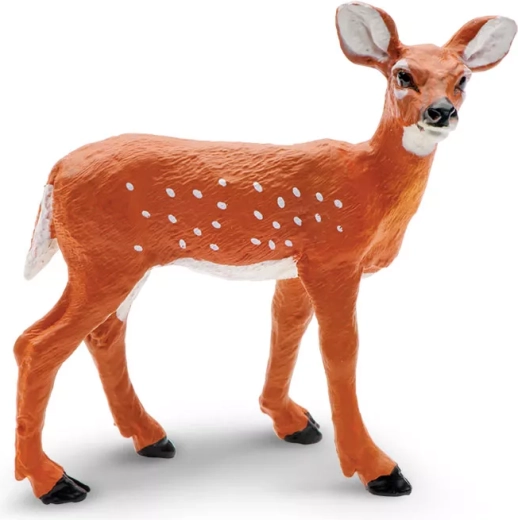 White-tailed Deer Fawn Safari Ltd.