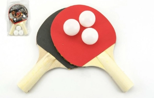 Komplet za namizni tenis za rekreativno igro
