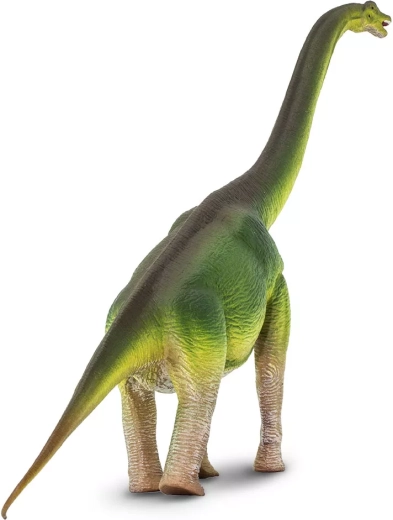 Long neck and faithful Brachiosaurus silhouette