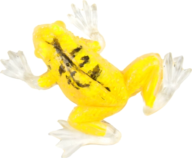 Različne barve za več zabave