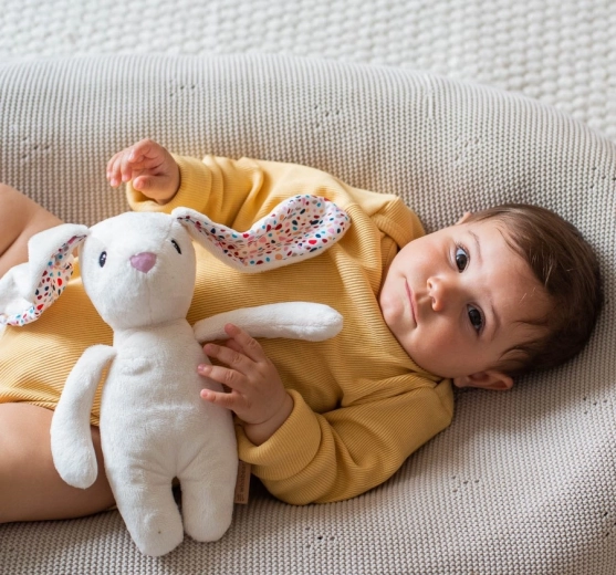 A practical companion at home and on the go