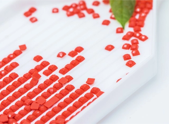 Organizacija brez nereda