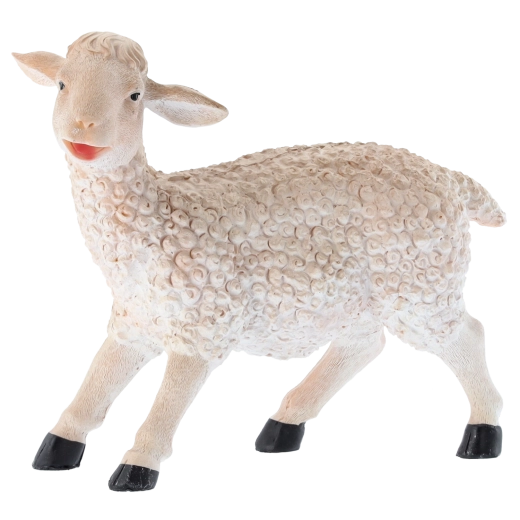 Vsestranska uporaba za dekoracijo in izobraževanje