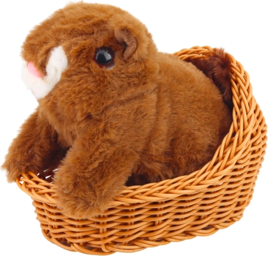 Mehek, varen in trpežen pliš