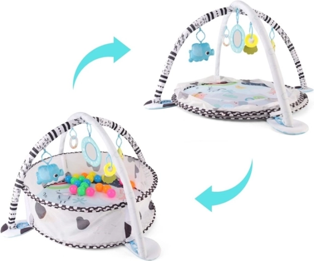 2-in-1: mat and ball pit