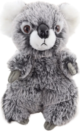 Varna od rojstva (0+)