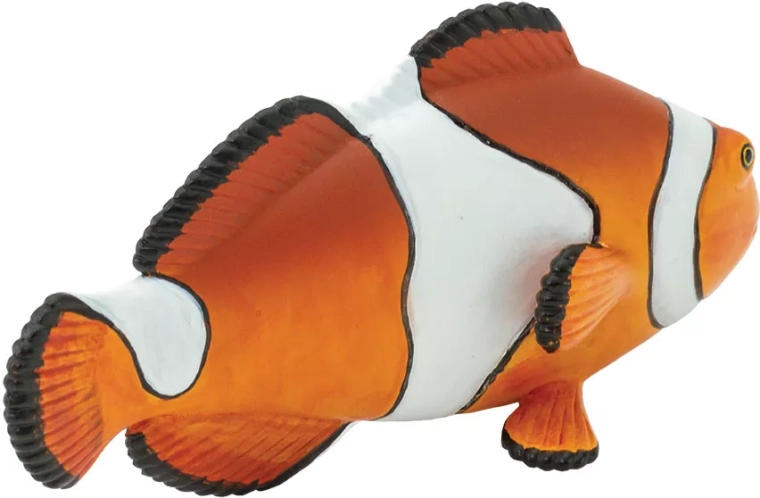 Realistic ocellaris clownfish detailing