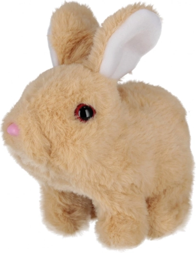 Prisrčni gibi in zvoki