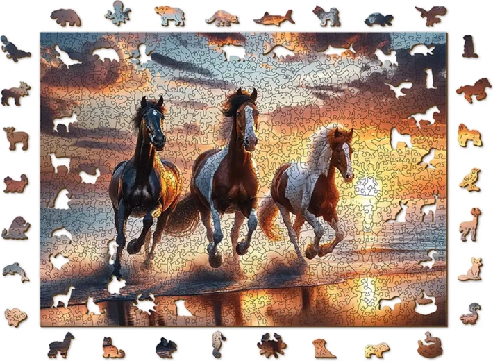 Čaroben motiv divjih konj