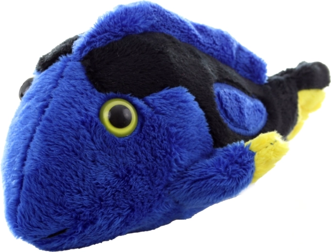 Žive barve, ki pritegnejo