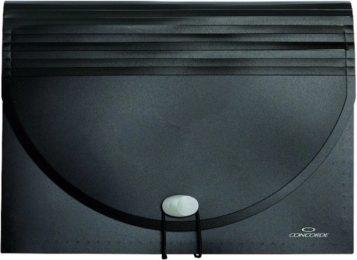 Organizator za dokumente z elastiko, 25 pregrad